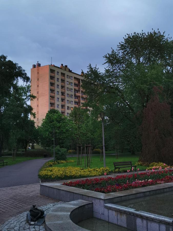 D&t Center View Rzeszow